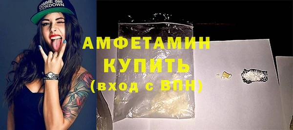 твердый Новозыбков
