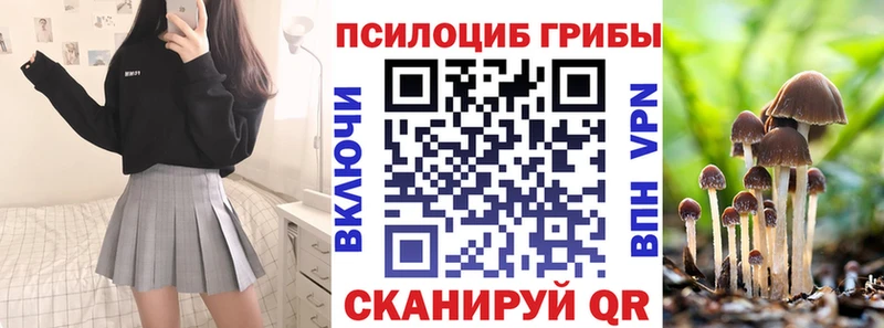 закладка  KRAKEN tor  Псилоцибиновые грибы ЛСД  Калининград 